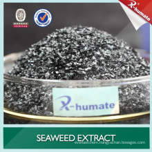 Good Price Seaweed Extract